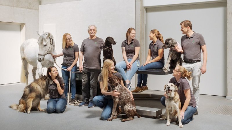 Equinox Healthcare - unsere Vision